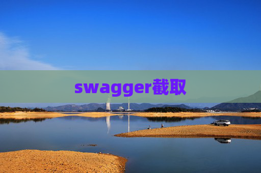 swagger截取
